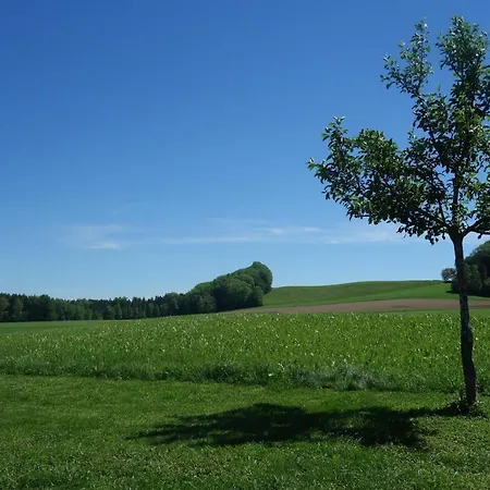 Appartement Katzheim